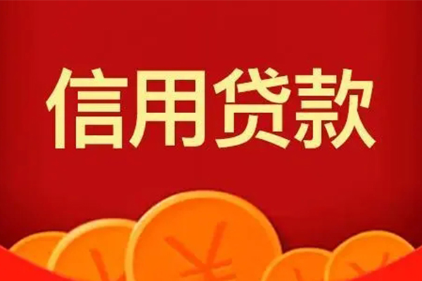 东莞应急地区身份证贷款-东莞应急民间小额借贷-东莞应急私人私借